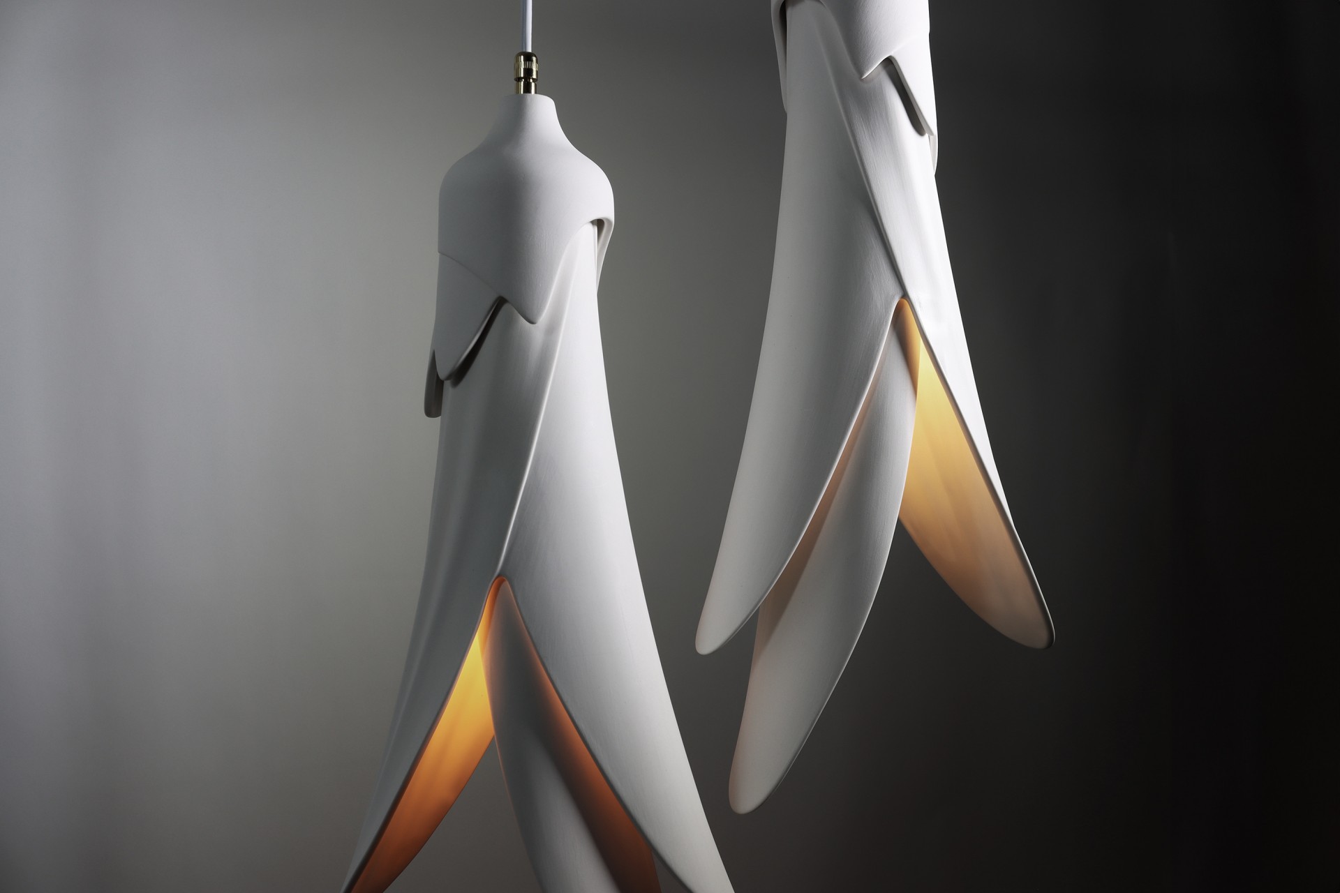 Kowhai 03 Slider